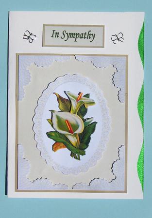 Cala Lilly by Lynda Jones