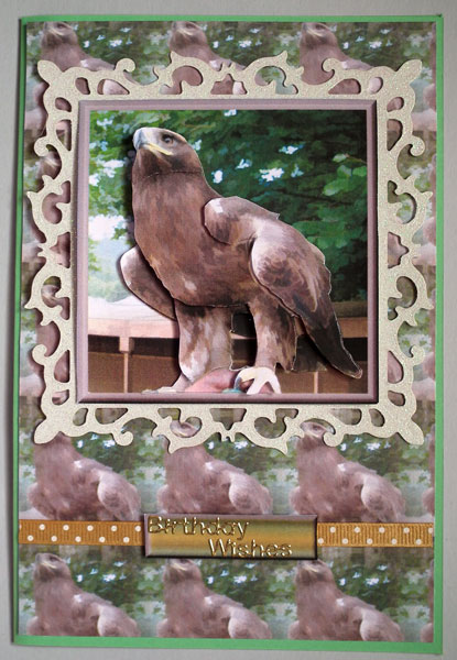 Golden Eagle Portrait 3D Decoupage with Background by Lynda Jones