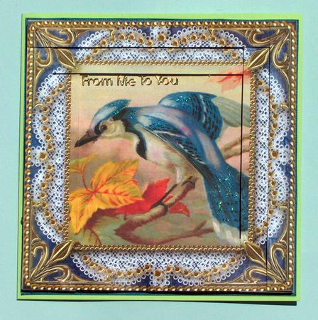 Colourful Kingfisher Spiral Edge Stacker Card Front by Lynda Jones