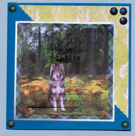 Canadian Timber Wolf Pyramid Stacker Birthdays Etc. by Lynda Jones