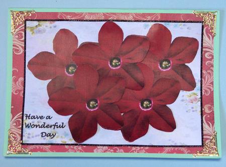 Beautiful Blooms by Lynda Jones