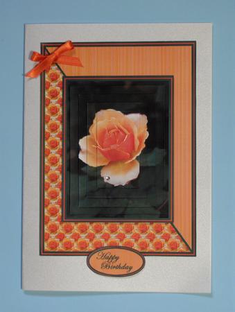 Only a Rose by Lynda Jones