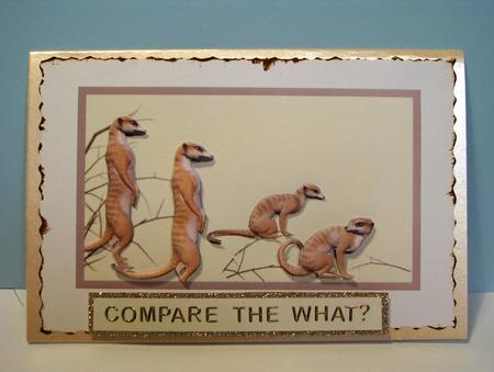 Meercats Step by Step by Lynda Jones