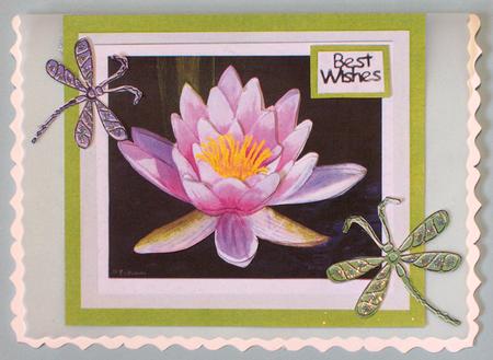 Water Lily & Dragonflies by Lynda Jones
