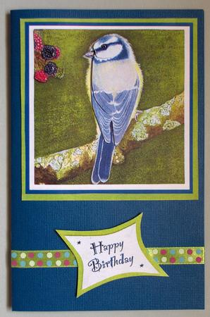 Blue Tit & Blackberry Lunch Birthday Men Women Friends by Lynda Jones
