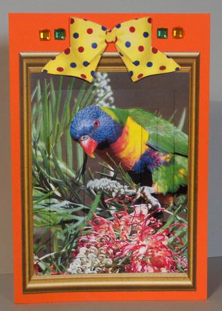 Aussie Natives - Rainbow Lorikeet Pyramid by Lynda Jones