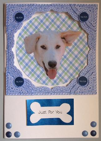 Marley Dog Says Please Help the Nl4sa Charity Card by Lynda Jones
