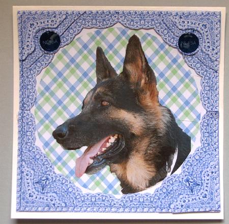 Shadow the German Shepherd Dog Nl4sa Charity Card Stacker by Lynda Jones