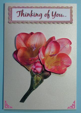 Freisa Card Sheet-sh0043 by Lynda Jones