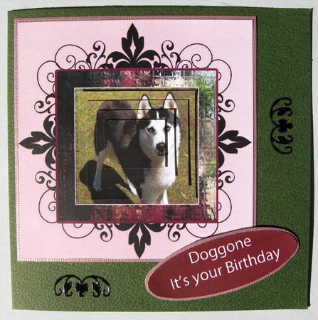 Its a Dogs Life Doggone Its Your Birthday Happy Birthday by Lynda Jones