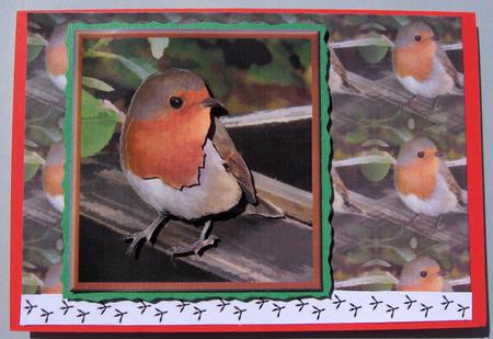 Robin 3D Decoupage with Background by Lynda Jones