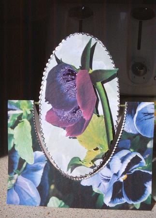 Spinner Card Purple Pansy Featured Gallery Photo