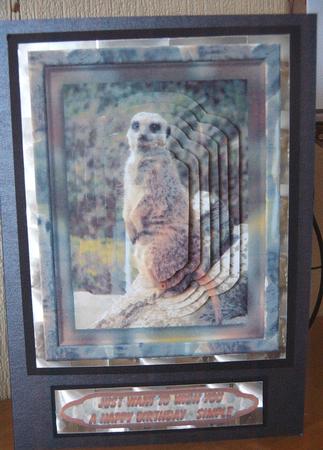 Meerkat Pyramid Card Front by Lynn Atkin