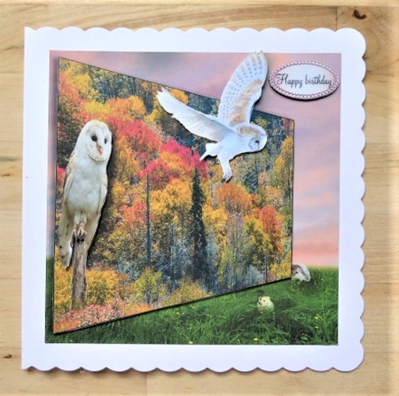 owls hunting  by Lynn Butters