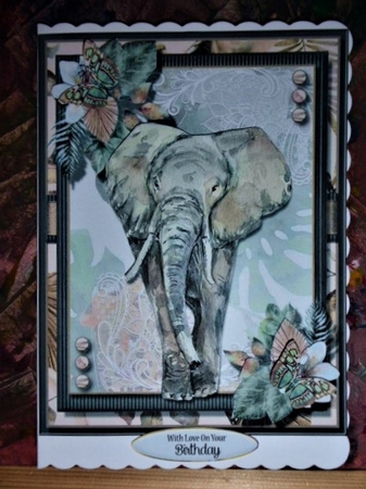 Tropical Wild 6x8  Kit 4 by Lynn Butters