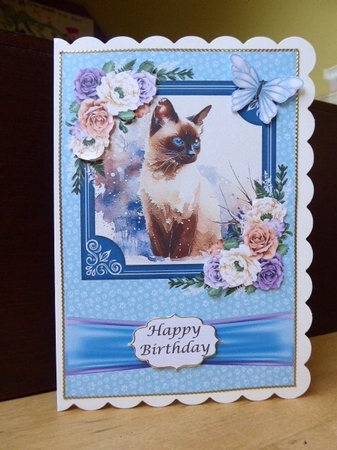 Cats - Siamese 3 by Lynn Butters