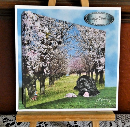 in the cherry blossom by Lynn Butters