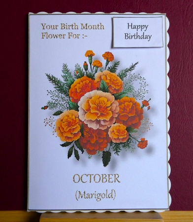 Birth Month Flower - October Marigold by Lynn Butters