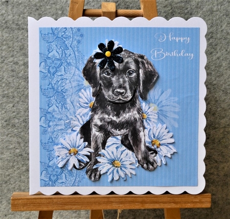 Black Lab. by Lynn Butters