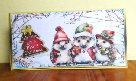 Hedgehog Wishes by Lynn Butters
