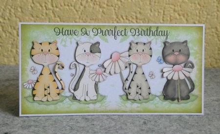 Purrfect Birthday DL Card  by Lynn Butters