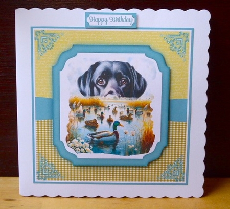 Peeking Labrador Birthday 6 x 6 Card by Lynn Butters