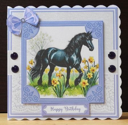 BLACK BEAUTY IN THE FLOWERS by Lynn Butters