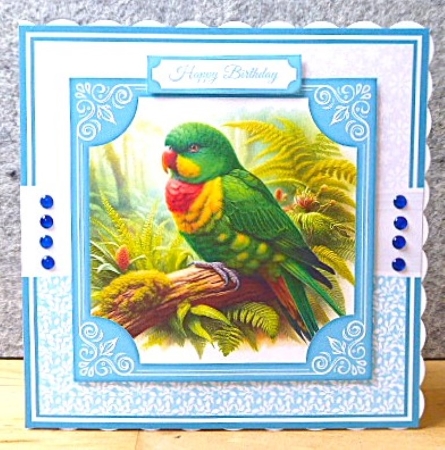 BIRDS - REQUEST by Lynn Butters