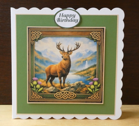 scottish wildlife by Lynn Butters