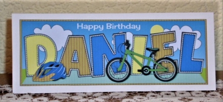 Childrens Bicycle DANIEL large dl by Lynn Butters