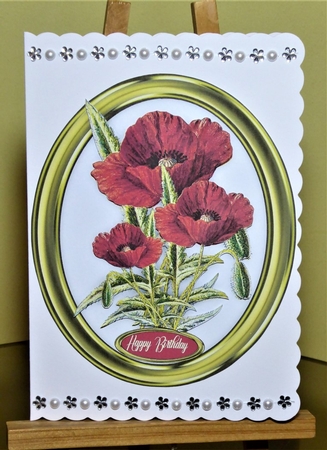 Beautiful Poppies  in a Gold Frame  by Lynn Butters