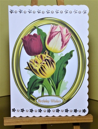 Beautiful Tulips in a Gold Frame  by Lynn Butters