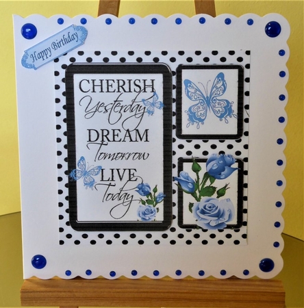 pretty blue roses and black polka dot photo frame 8x8 card front by Lynn Butters