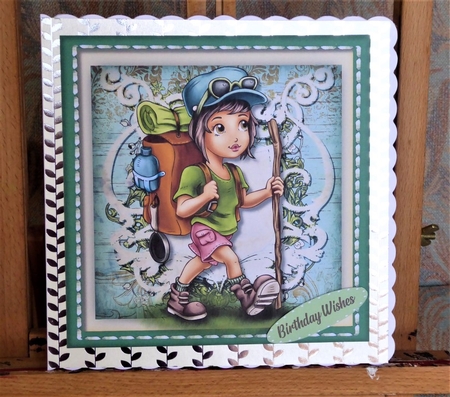 The Hill Climber  by Lynn Butters