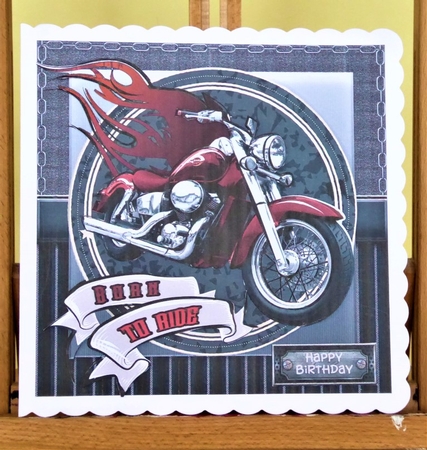 Born to Ride by Lynn Butters
