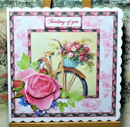 SC Bicycle & roses by Lynn Butters