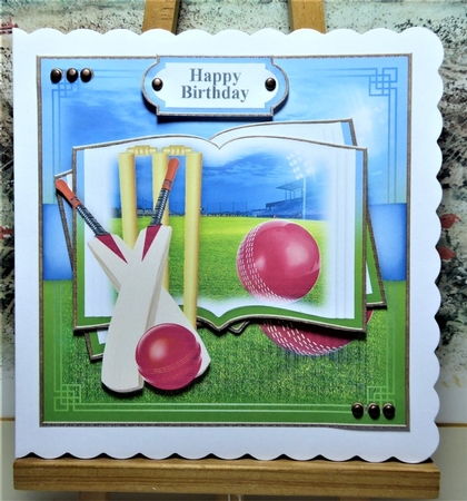 Cricket Open Book by Lynn Butters