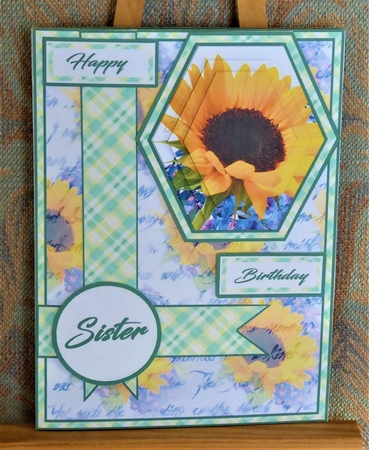 Hex Sunflowers by Lynn Butters