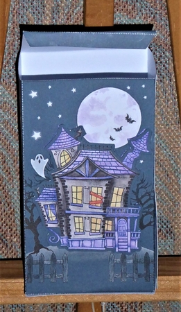 Halloween Trick or Treat Box: Haunted House by Lynn Butters