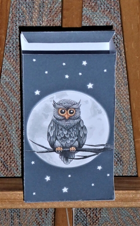 Halloween Trick or Treat Box: Owl by Lynn Butters