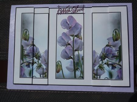 Triple Frame Stacker Sweetpea by Lynn Butters