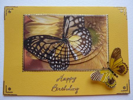 Black and Yellow Butterfly by Lynn Butters