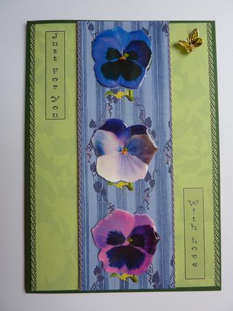 A Trio of Pansies - Purple by Lynn Butters