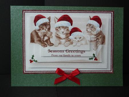 Cute Cat Family by Lynn Butters