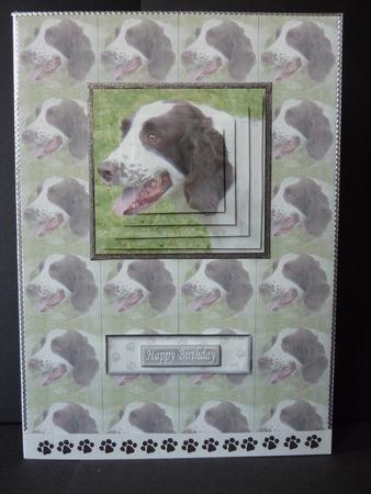 Springer Spaniel Portrait Pyramid with Background by Lynn Butters