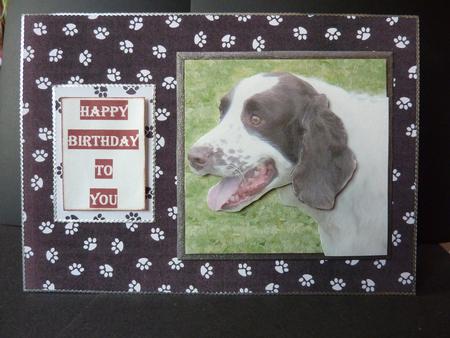 Springer Spaniel Portrait 3D Decoupage by Lynn Butters