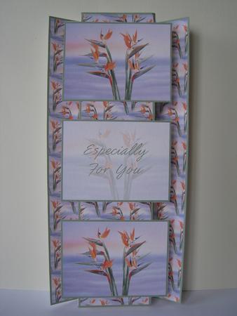 Bird of Paradise Flowers 3 Panel Fold Bac by Lynn Butters