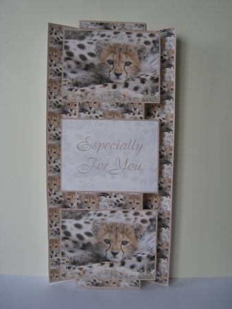 Leopard Cub 3 Panel Fold Back by Lynn Butters