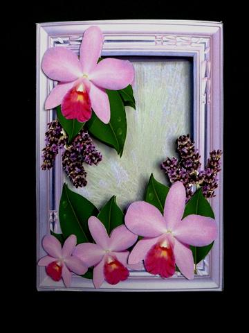 Inside Out Card Purple Orchids and Lavender by Lynn Butters