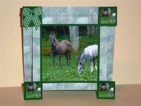 Beautiful Horses by Lynn Butters